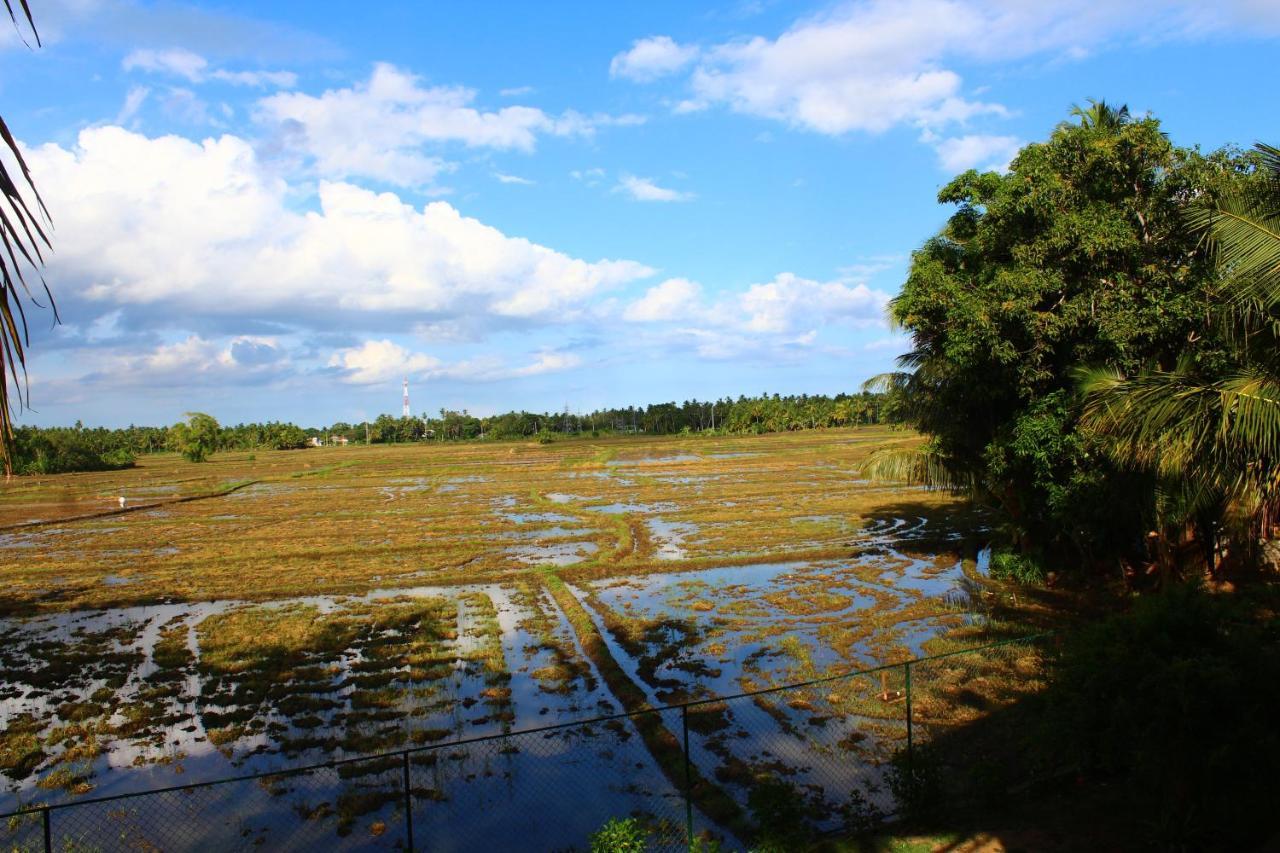 Lavender Home Yala Safari Tissamaharama Dış mekan fotoğraf