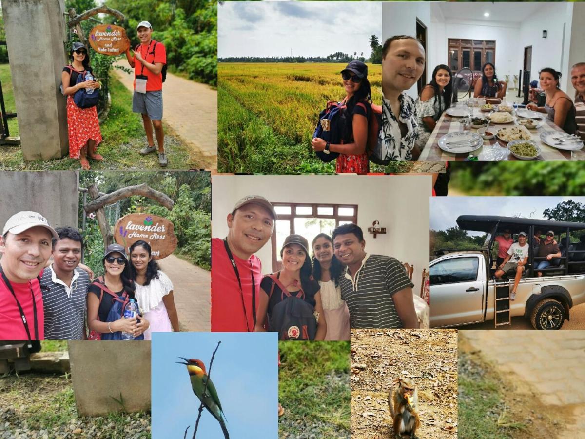 Lavender Home Yala Safari Tissamaharama Dış mekan fotoğraf